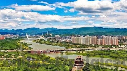 大象传媒天天看-探索大象传媒的每日精彩，天天看背后的故事与价值