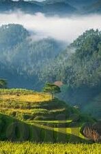 麻豆av最新网址-清明虚拟空间之境，网海寻觅的奇幻旅程