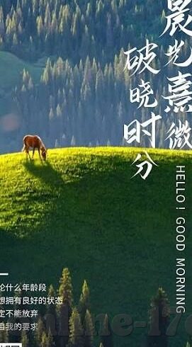 麻豆传媒怎么了-麻豆传媒事件，互联网内容争议的警醒