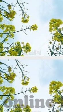 日韩无码av-日韩AV文化，透视成人娱乐的多元视角