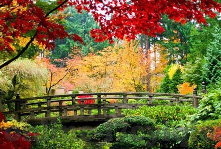 糖心app正版下载-探索数字世界的甜蜜邂逅，安全下载糖心APP正版之旅