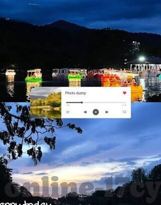 糖心v log官网入口免费-探索甜蜜的潮流，糖心Vlog官网免费入口指南