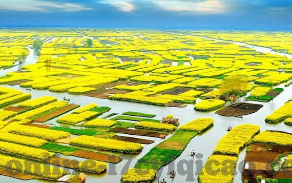 亚洲欧美国产日韩av-多元文化视角下的亚洲、欧美与日韩AV产业，探索与反思